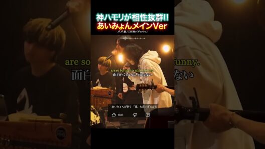 【相性抜群】作曲のあいみょんと本家の北村匠海が神デュエットで「猫」。北村匠海のハモリVerも最高！