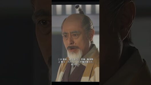 直政の死が家康にこのような決断を下させた。#おすすめ  #歴史#時代劇#戦国時代