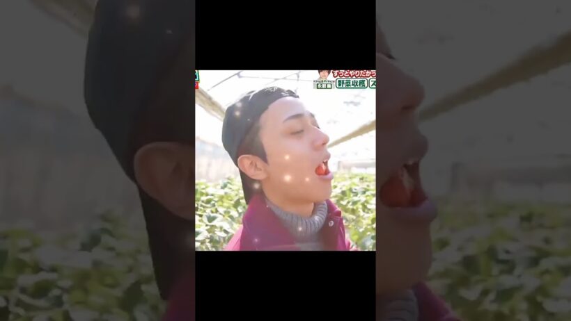 いちご爆食い永瀬廉 #永瀬廉 #キンプリ