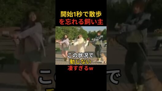 【懐かCM Fit's⑥】犬の散歩中に急に踊る佐藤健、でも一番すごいのは柴犬ですw
