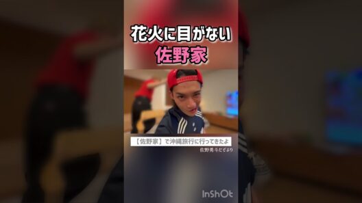 花火に目がない佐野家#M!LK#佐野勇斗