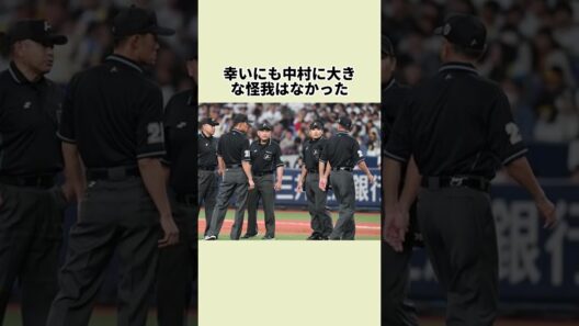 『NPBの誤審王 球審・嶋田』に関する雑学 #野球 #嶋田哲也 #白井一行 #誤審 #プロ野球