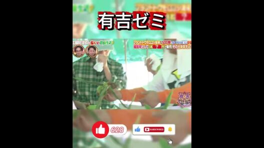 【有吉ゼミ】工藤阿須加の農園生活！1本1500円の高級ブランドとうもろこしの収穫と糖度測定に挑戦！