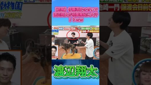 【悲報】伊藤淳史のせいで渡辺翔太が相葉雅紀に大汗！？ｗｗ#SnowMan #渡辺翔太 #相葉雅紀 #伊藤淳史 #みんなの動物園