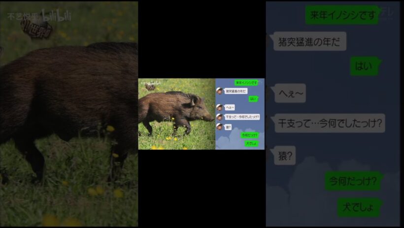 これ好きすぎるw#おすすめ #fyp #手越祐也 #イッテq