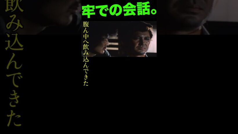 炎属性との対話。2 #子連れ狼 #萬屋錦之介 #赤猫 #石橋蓮司