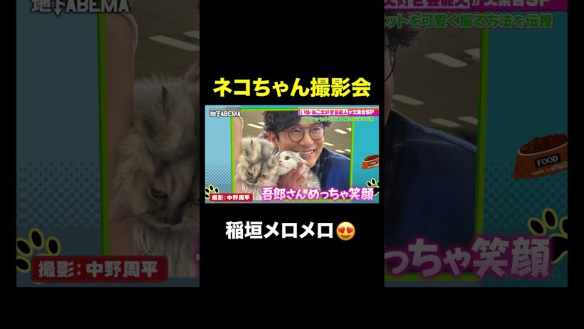 稲垣吾郎 ネコに囲まれ最高の笑顔😍 ｜#ななにー #稲垣吾郎 #草彅剛 #香取慎吾