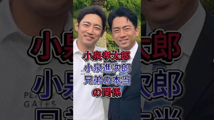 小泉孝太郎 小泉進次郎 兄弟の本当の関係 #小泉孝太郎 #小泉進次郎 #芸能人 #有名人