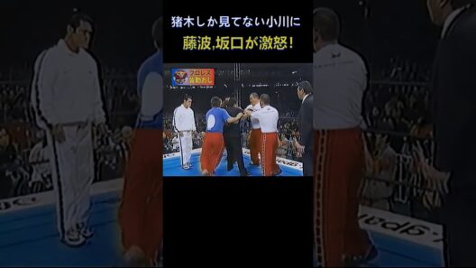 猪木しか見てない小川に藤波・坂口激怒！ #shorts #wrestling #プロレス #japan