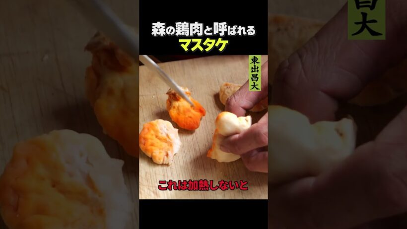 東出昌大 / 森の鶏肉と呼ばれるマスタケ