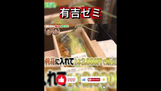【有吉ゼミ】工藤阿須加が育てた1本2,000円の高級トウモロコシ！売れ行きをドキドキで見守る農園生活