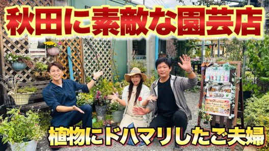 植物にドハマリしたご夫婦が雪国・秋田で園芸店をオープン！「wildberry」がすごかった！