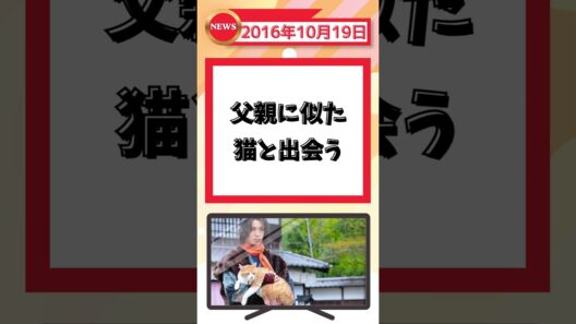 2016年10月19日の話題 【ずんだもん解説】#shorts #猫忍 #大野拓朗