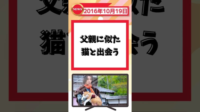2016年10月19日の話題 【ずんだもん解説】#shorts #猫忍 #大野拓朗
