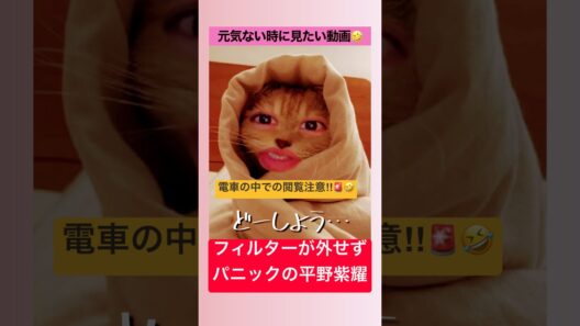#平野紫耀　 #number_i_bon