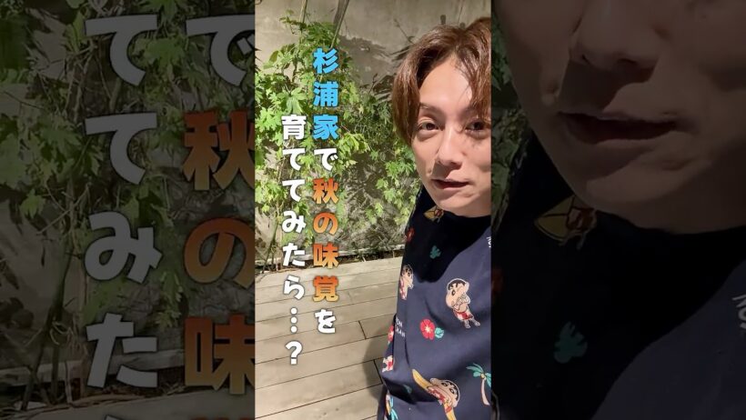 杉浦家で秋の味覚を栽培🍄‍🟫　 #杉浦太陽　#shorts　#秋の味覚　#舞茸　#プランター栽培