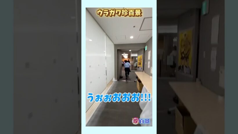 【ウラガワ珍百景】