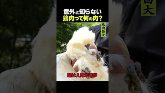 東出昌大 / 鶏肉って何の肉？