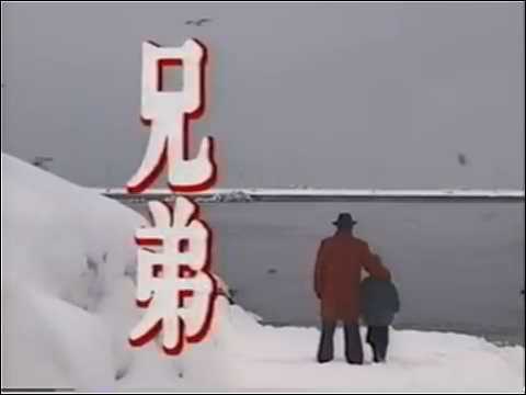 兄弟  ビートたけし 豊川悦司 桃井かおり