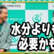 宮崎あおい、ムロツヨシを「取り入れたい」と笑顔　「水分よりも必要かもしれない」